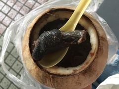 原只椰子炖竹丝鸡-達揚原味燉品(文明路店)