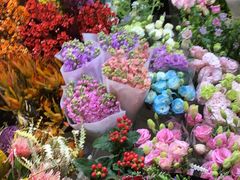 -双季花艺园艺市场(浦东店)
