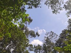 -白云山风景名胜区