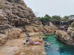 -珠海长隆海洋王国