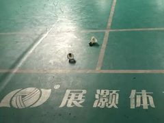 -东丽温泉羽毛球