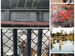 -安徽八里河旅游区
