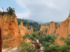 -彩色沙林风景区