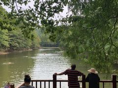 -青龙山国家森林公园