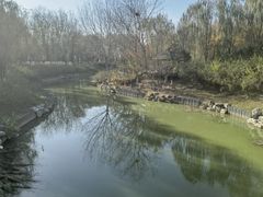 -大兴滨河森林公园