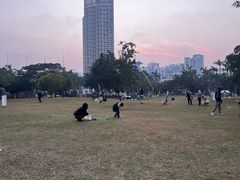 -万绿园