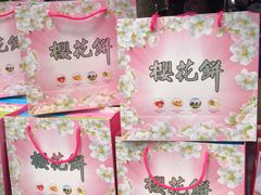 -武汉大学-樱园
