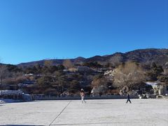 -北京西山国家森林公园