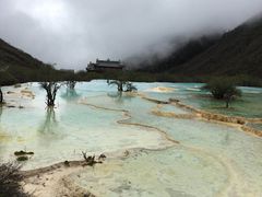 -黄龙山原始森林景区