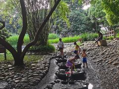 -成都市活水公园
