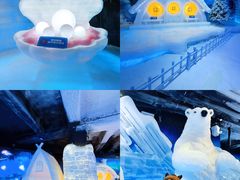 -海合安成都极地海洋公园