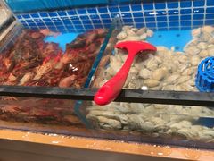 -海汕记·潮汕鲜牛肉火锅·自助