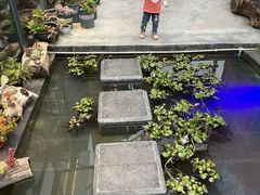 -阿西土陶牦牛汤锅