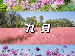 -沉浸北京·团建旅行·密室剧本杀·年会会议轰趴拓展
