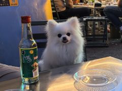 -卞二小串·鹤岗烧烤·坑烤(永定路店)