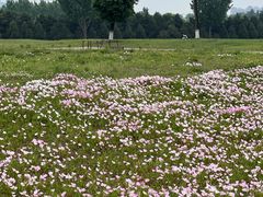 -汉长安城未央宫国家考古遗址公园