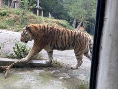 -大连森林动物园