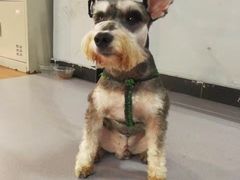 -拳盛时代拳击俱乐部(北京路店)