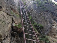 -玉泉威虎山森林公园