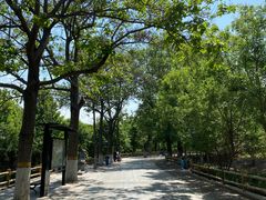 -石家庄市动物园