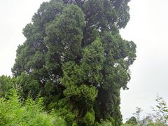 -剑门关风景区