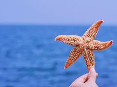 -悦海公园