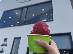 -Patagonia Chocolates(皇后镇店)