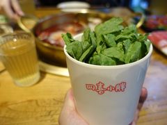 -四喜小胖·北京涮肉(五道营店)