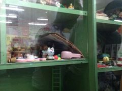 iphone_upload_pic-做了不起的80后