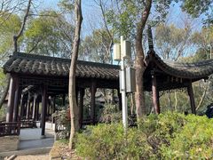 -上海佘山国家森林公园天马山园