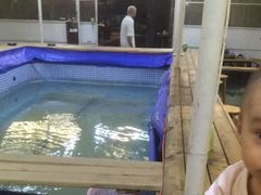 -小象钓虾·营地烧烤(洛溪店)