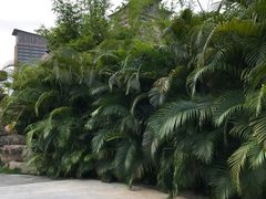 -亚马逊丛林水乐园