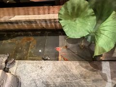 -情满四合院•京菜•烤鸭(动物园店)