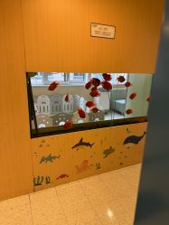 -杭州贝瑞斯美华妇儿医院·早孕·产检·儿科