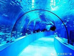 iphone_upload_pic-梦幻海洋王国(吾悦广场张家港店)