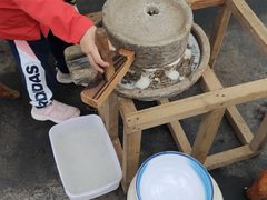 -上海都市菜园