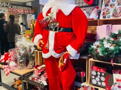 -盒马鲜生(红莲店)