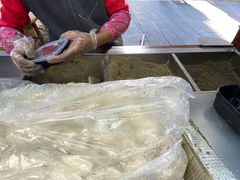 -叶氏麻糍(鼓浪屿店)
