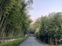 -天目湖涵田度假村