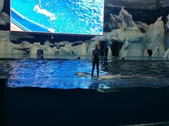 -福州罗源湾海洋世界旅游区