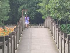 -重庆彩云湖湿地公园