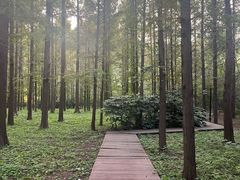 -河南省黄河迎宾馆