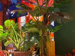-墨纪Mojí墨西哥餐厅(官舍店)