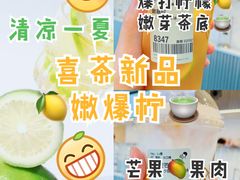 多肉芒芒甘露-喜茶(北京五棵松华熙店)