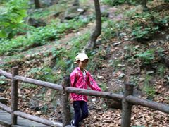 -北京上方山国家森林公园