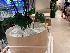 大堂-卡朋西餐(悦汇城店)