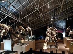 -世界恐龙谷景区