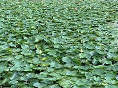 -苏州河梦清园环保主题公园