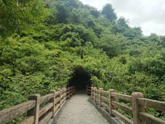 -汉中石门栈道风景区