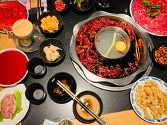 -董家湾重庆老火锅(嘉华店)